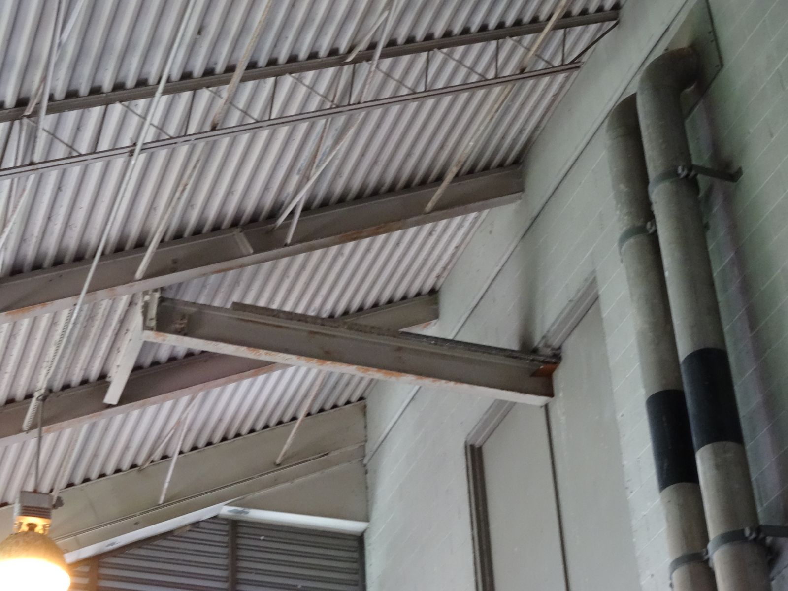 Richmond Pigeon Problem