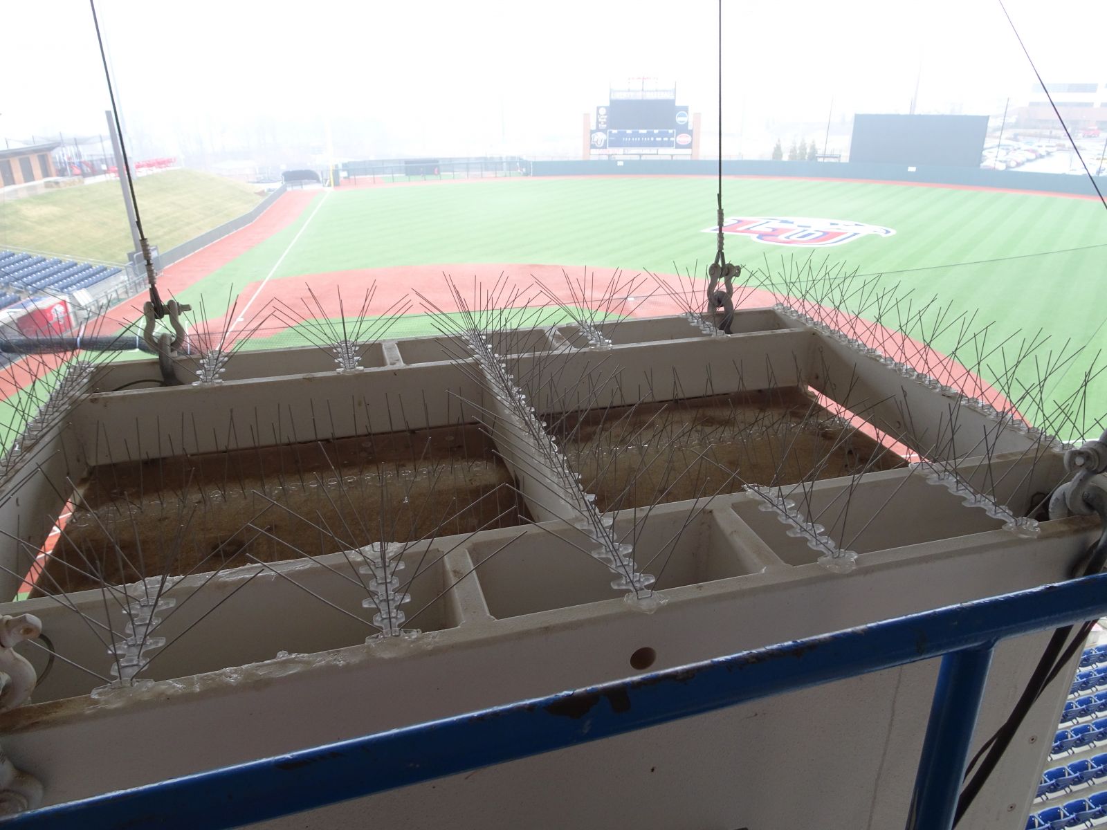 Virginia Bird Spikes