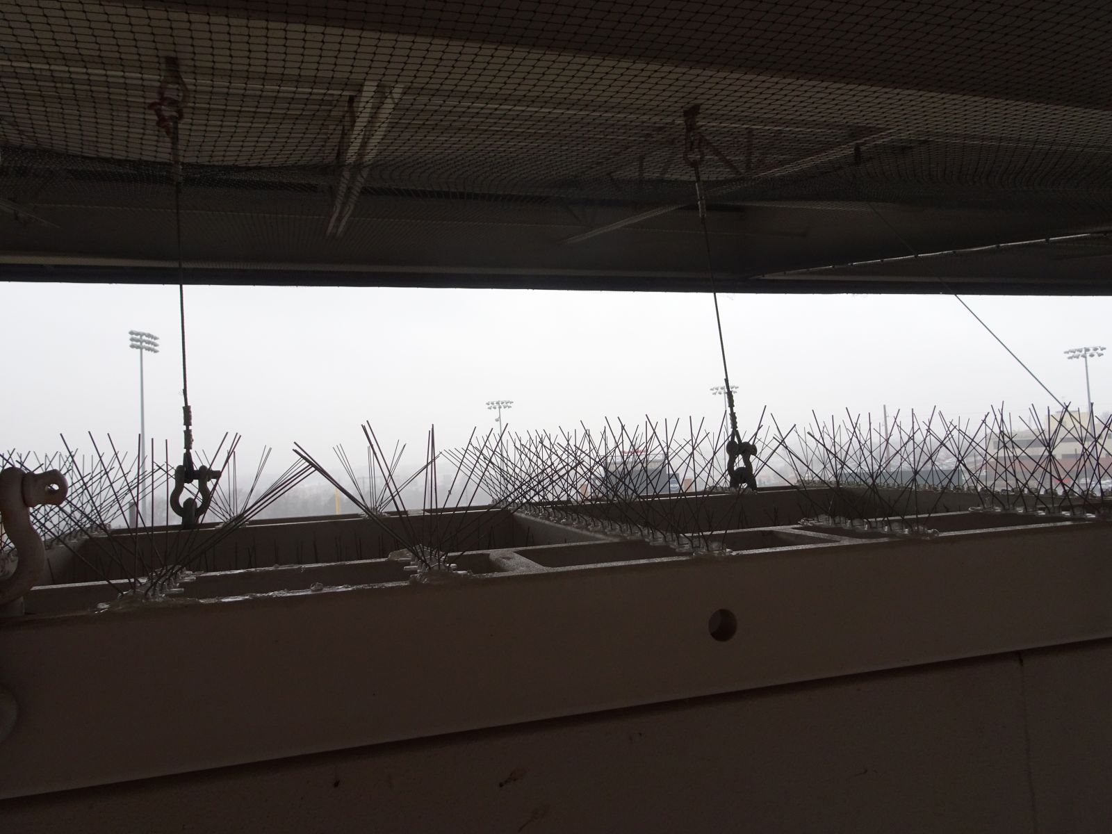 Bird Barrier Bird Spikes