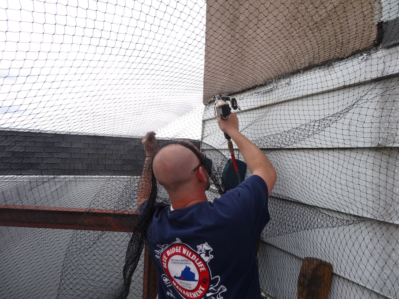 Bird Barrier Bird Netting Bedford, VA