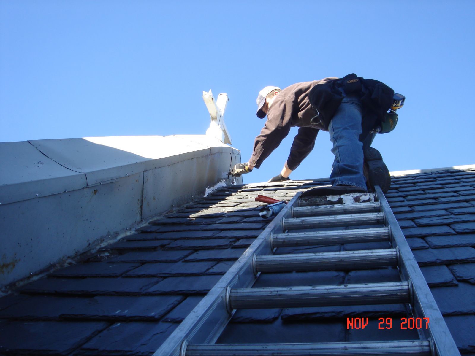 Lynchburg Mice Pest Control