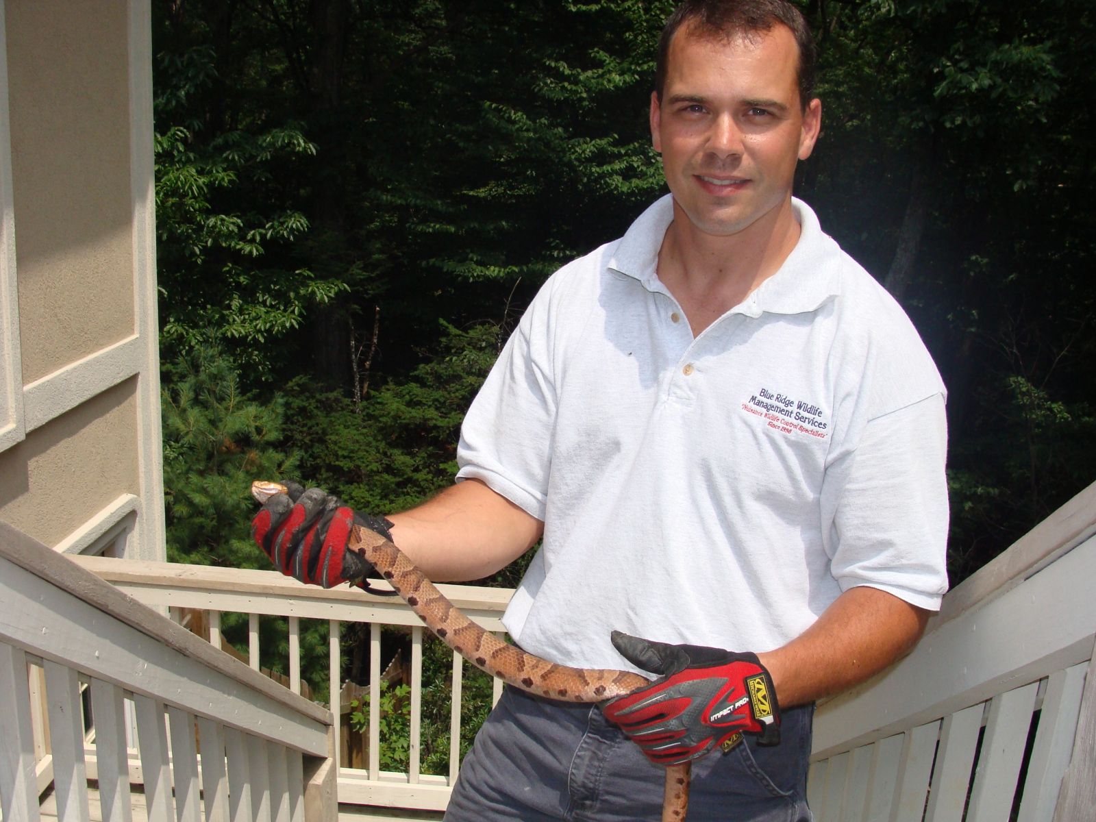 Snake Removal Bedford Virginia