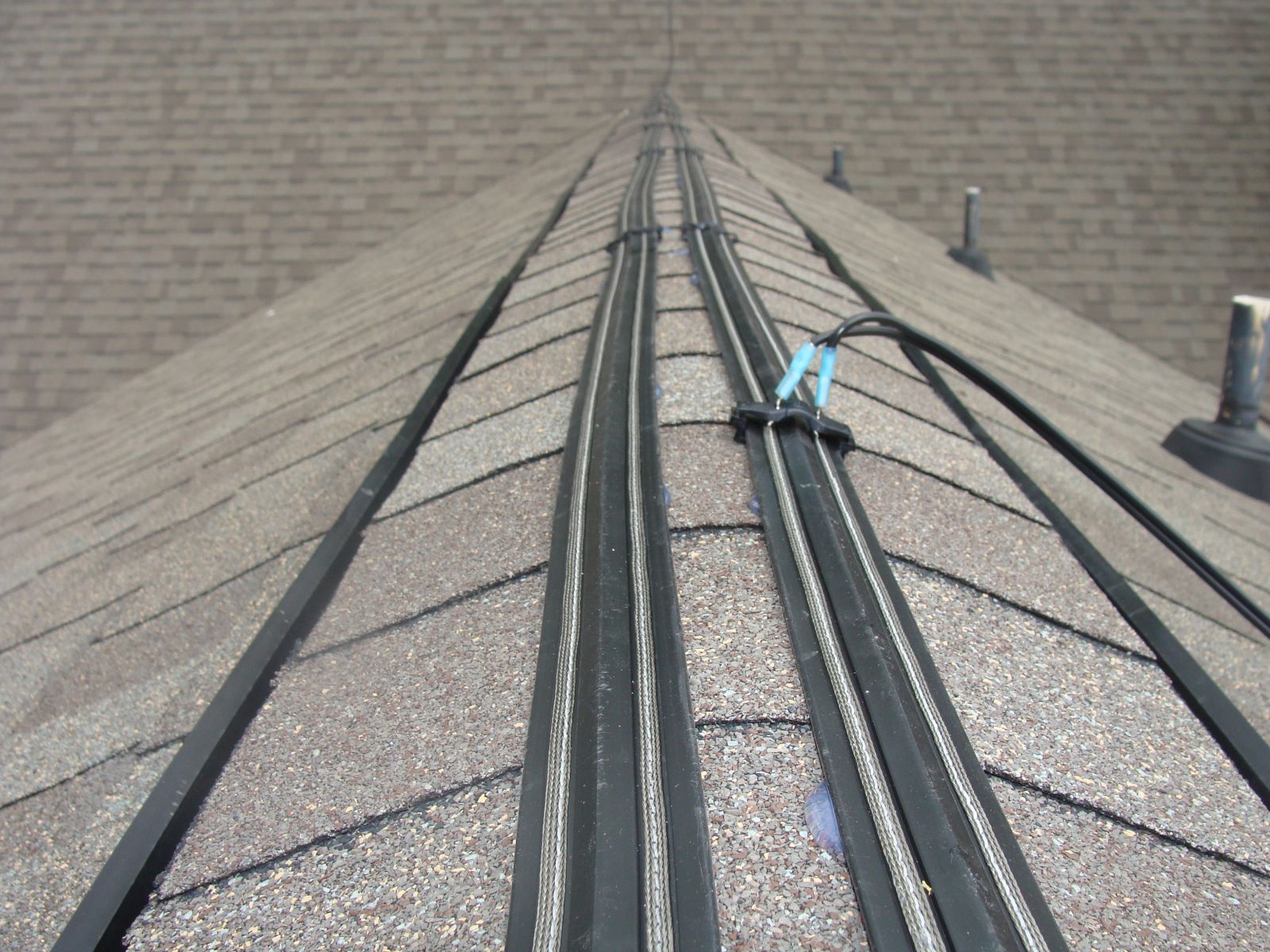 Newport News Shock Track Electric Bird tape