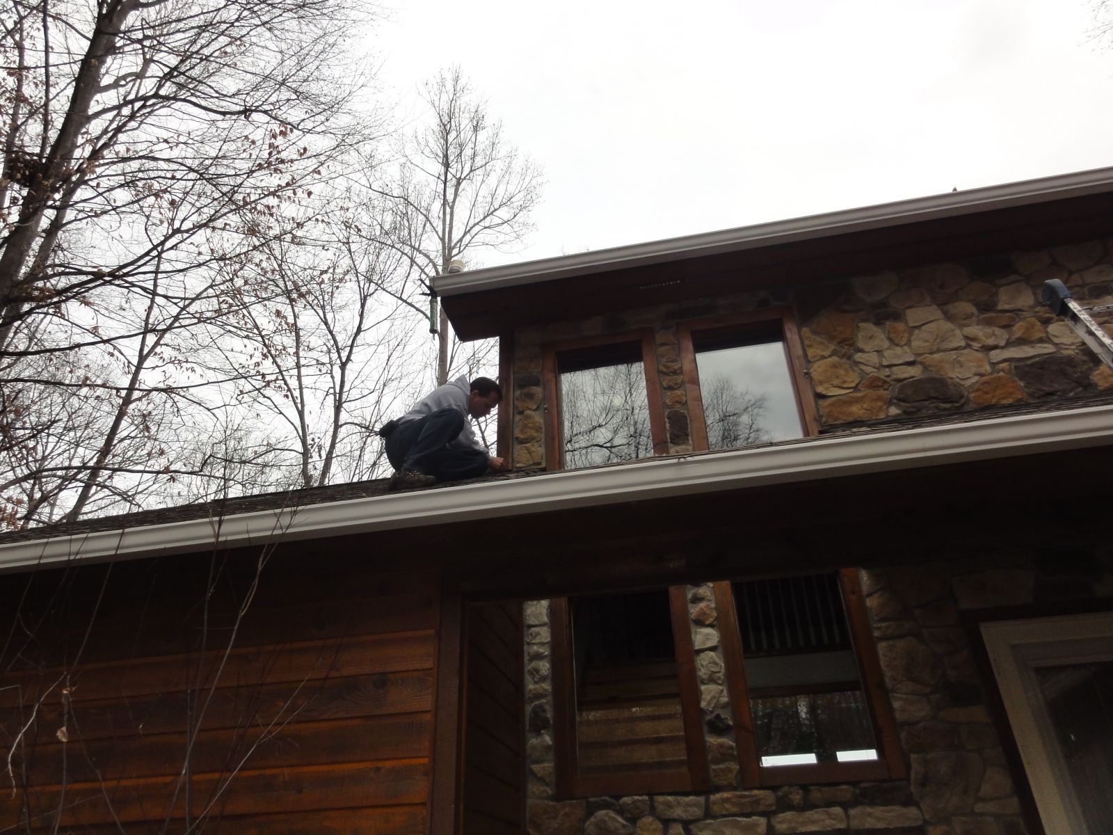 Blacksburg squirrel removal