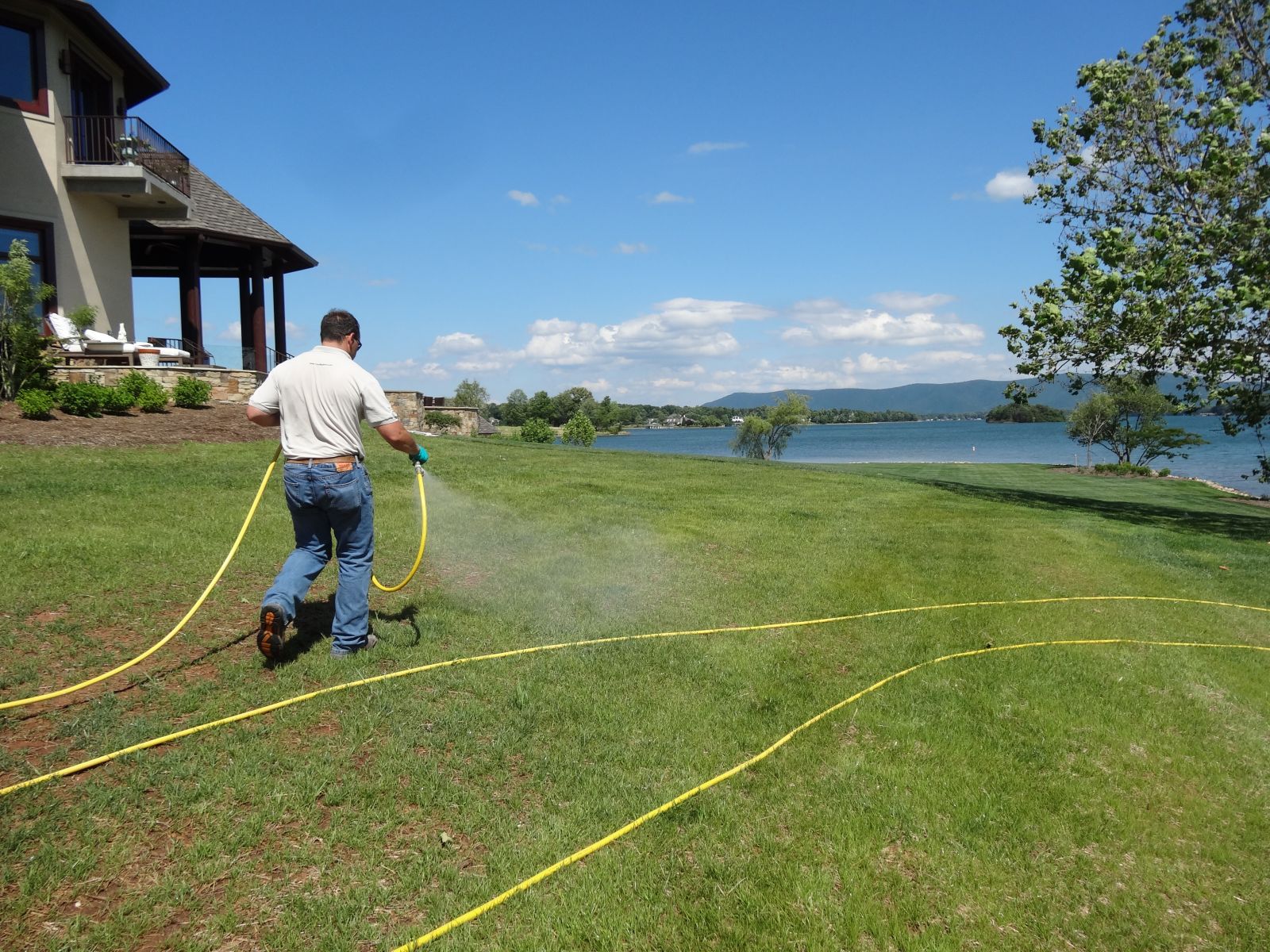 Goose Repellant Wytheville