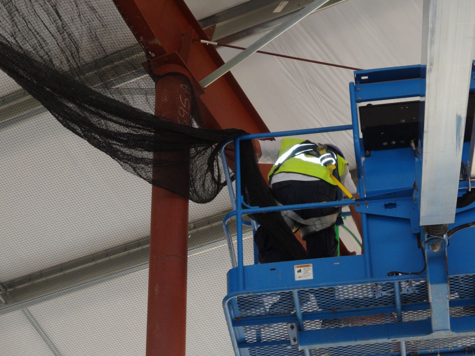 Bird Netting Wytheville