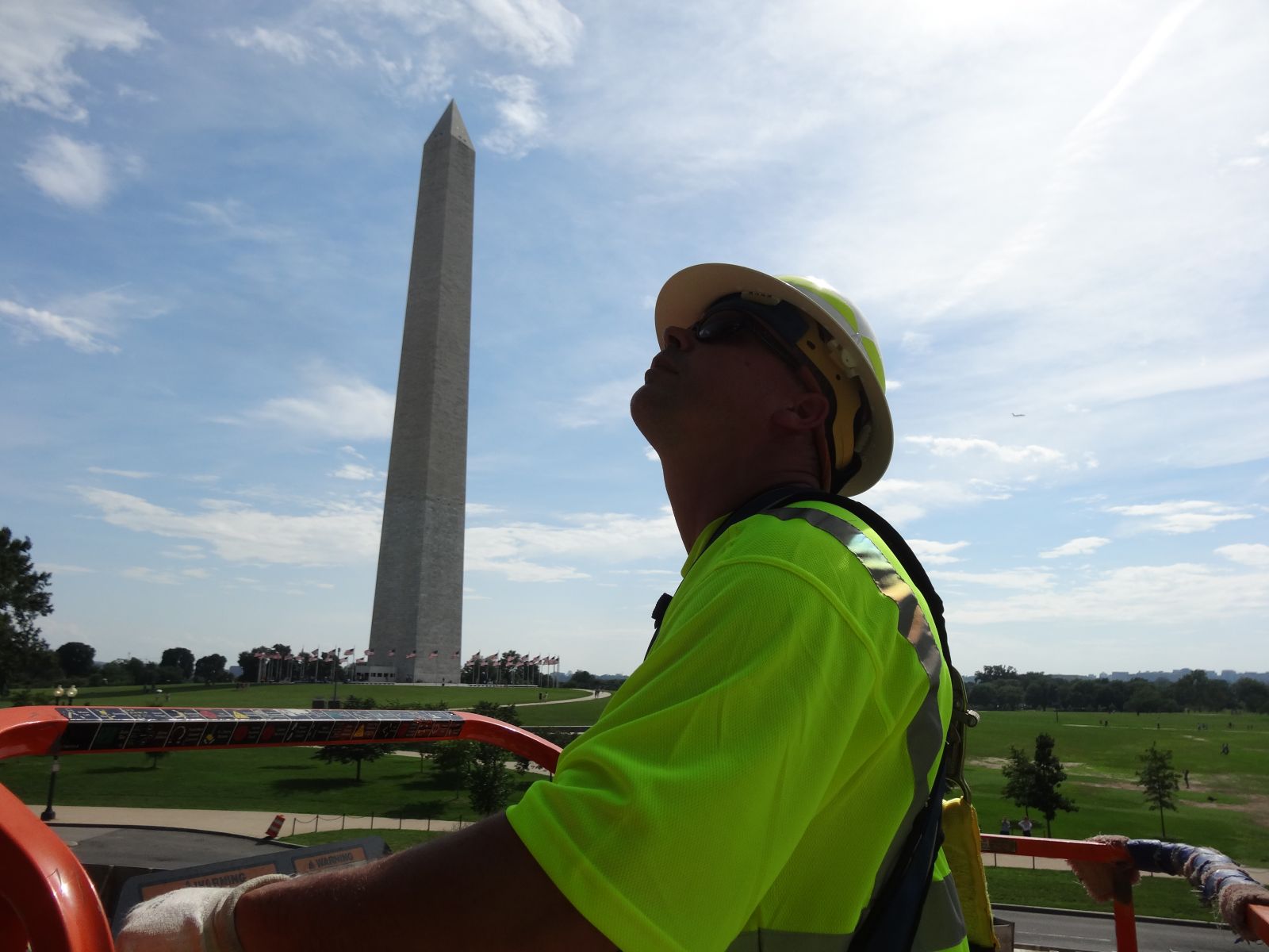 Washington DC Wildlife Pest Animal Control and Removal