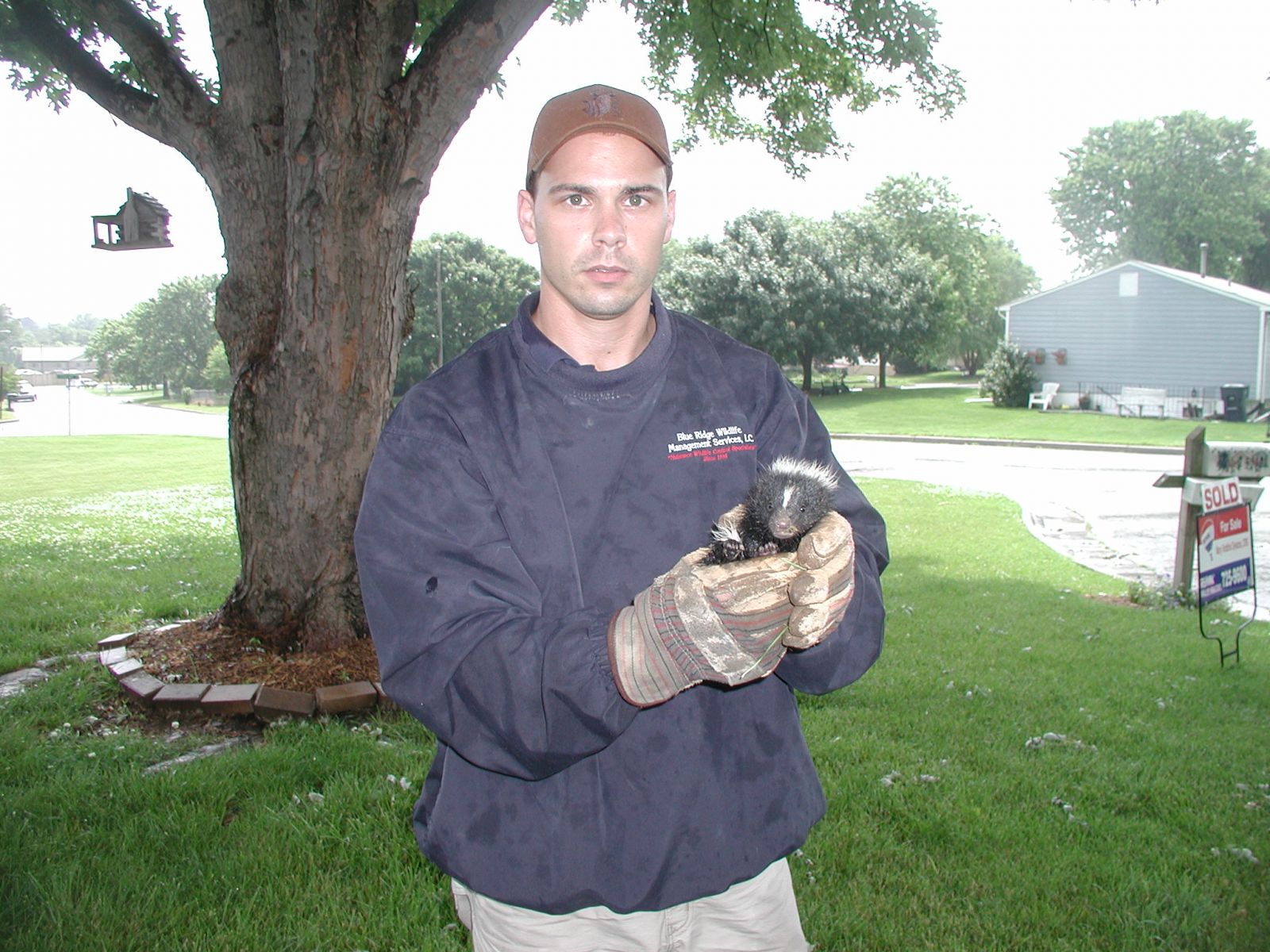 Bedford Skunk Removal